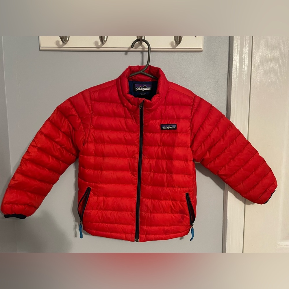 Patagonia Down Jacket